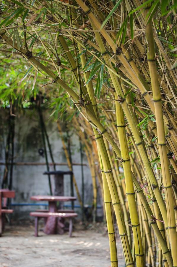 The Loft Resort Bangkok Eksteriør billede
